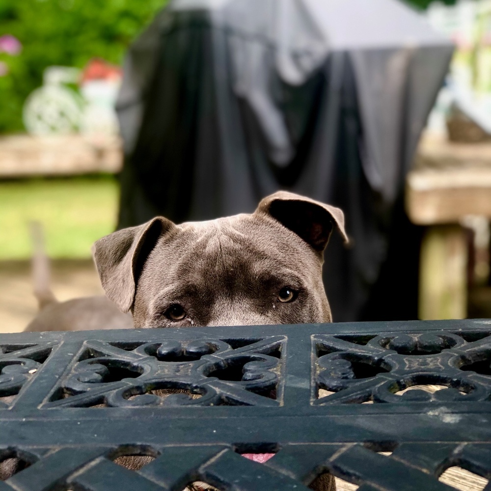 Meet your Posher, Jeanie
